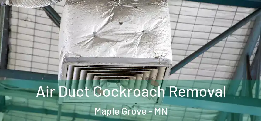  Air Duct Cockroach Removal Maple Grove - MN