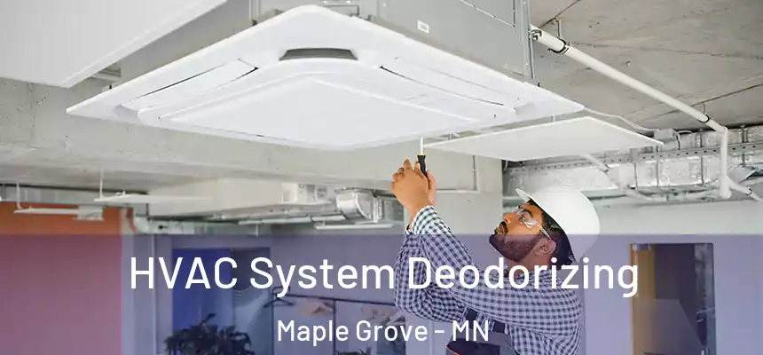  HVAC System Deodorizing Maple Grove - MN