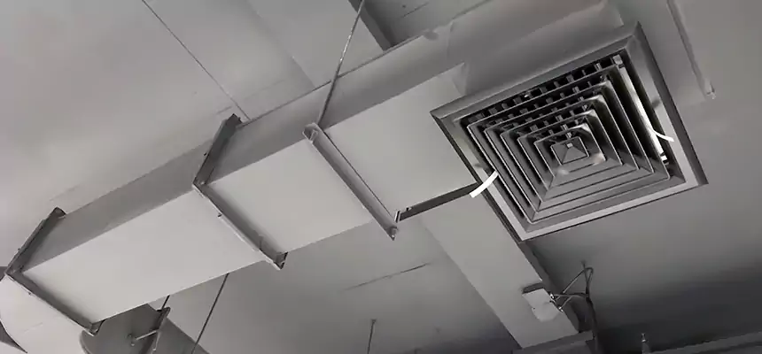 Restorative Allergy Relief Vent Cleaning – Coil, Blower & Housing Detail in Maple Grove