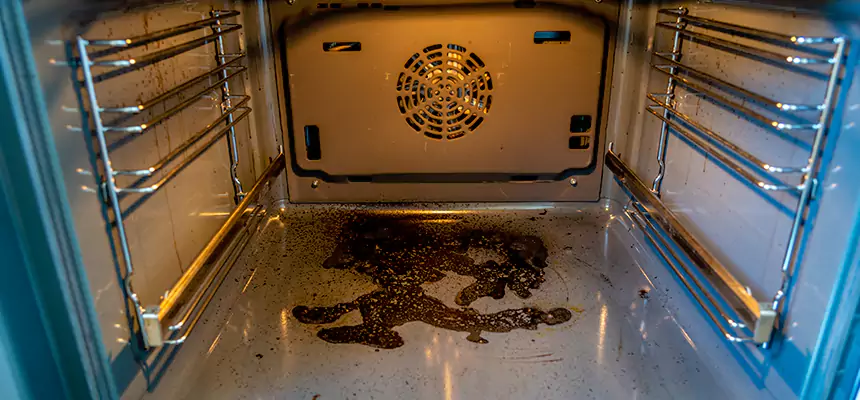 Our Dryer Vent Mold Cleaning Services in Maple Grove, MN