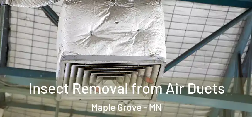  Insect Removal from Air Ducts Maple Grove - MN