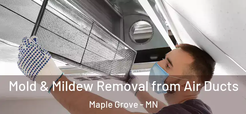  Mold & Mildew Removal from Air Ducts Maple Grove - MN