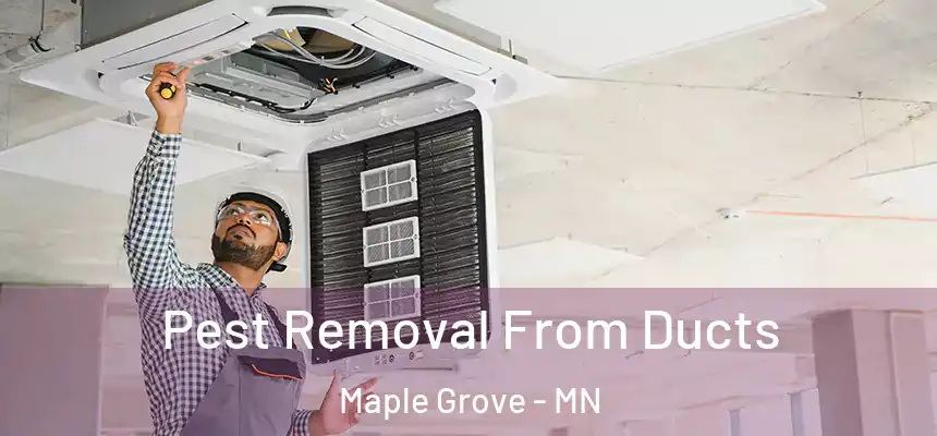  Pest Removal From Ducts Maple Grove - MN