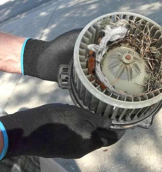 About Air Duct Mice Removal in Maple Grove, MN