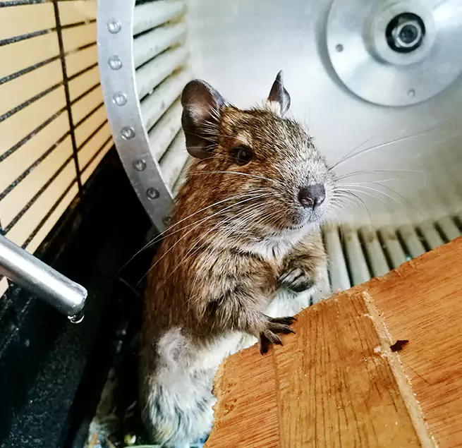 Why Homeowners & Businesses Trust Us Maple Grove, MN